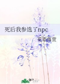 死后我参选了npc